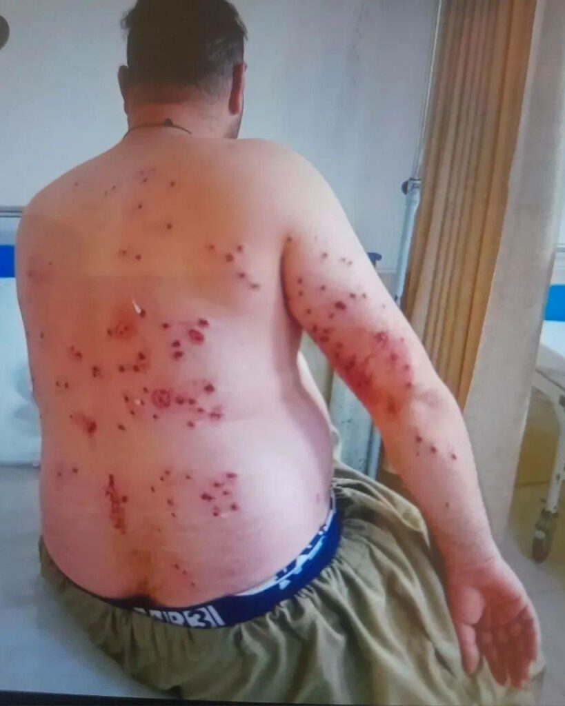 برینداربوونی ١٠ كۆڵبه‌ر له‌ سنووری نه‌وسوود