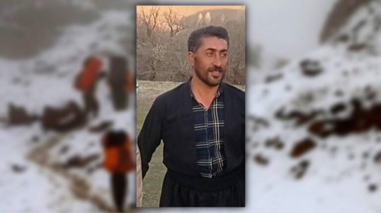 برینداربوونی چوار كۆڵبه‌ر له‌ سنووره‌كانی بانه و هه‌ورامان