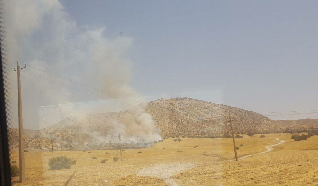 ئاگر کەوتنەوە لە دارستانەکانی پارێزگای ئیلام