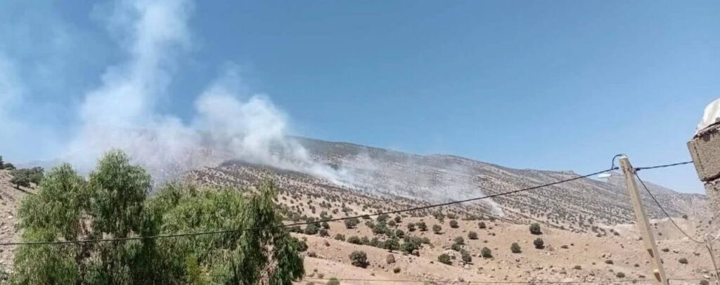 ئاگر گرتنی شاخەکانی کەڤرتوو لە پارێزگای ئیلام