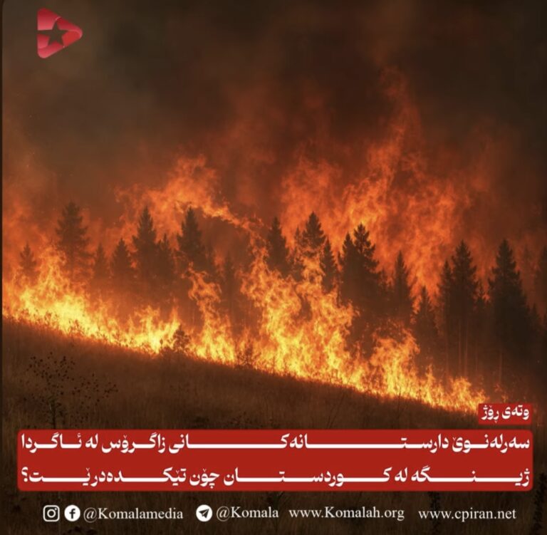 سەرلەنوێ دارستانەکانی زاگرۆس لە ئاگردا ژینگە لە کوردستان چۆن تێکدەدرێت؟