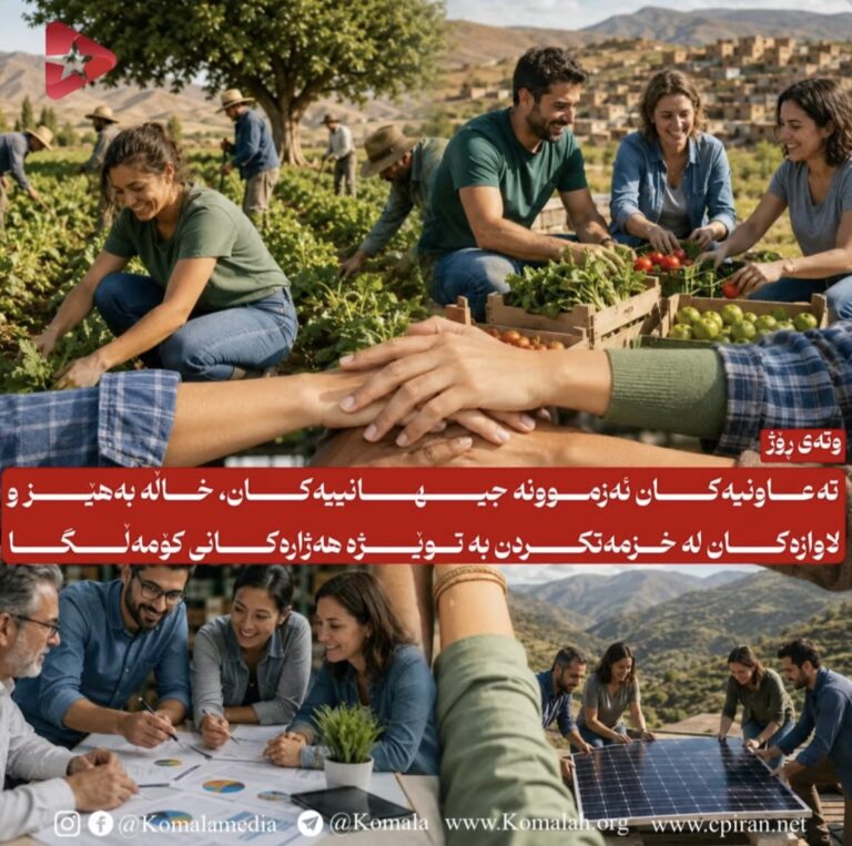 تەعاونیەکان ئەزموونە جیهانییەکان، خاڵە بەهێز و لاوازەکان لە خزمەتکردن بە توێژە هەژارەکانی کۆمەڵگا