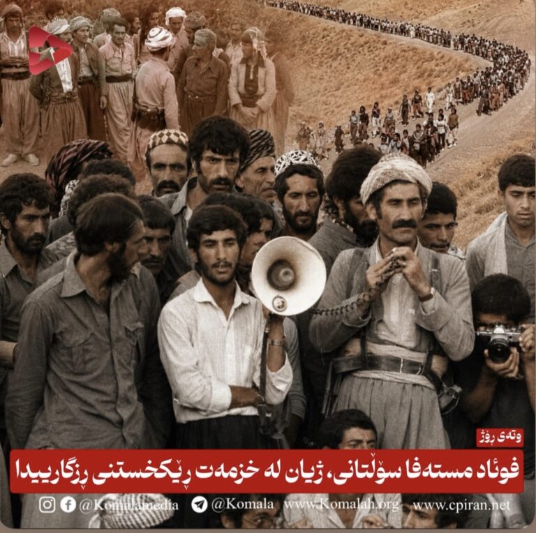 فوئاد مستەفا سۆڵتانی، ژیان لە خزمەت ڕێکخستنی ڕزگارییدا