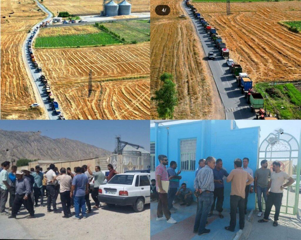 نارضایتی و تجمع گندمکاران دره شهر در ایلام