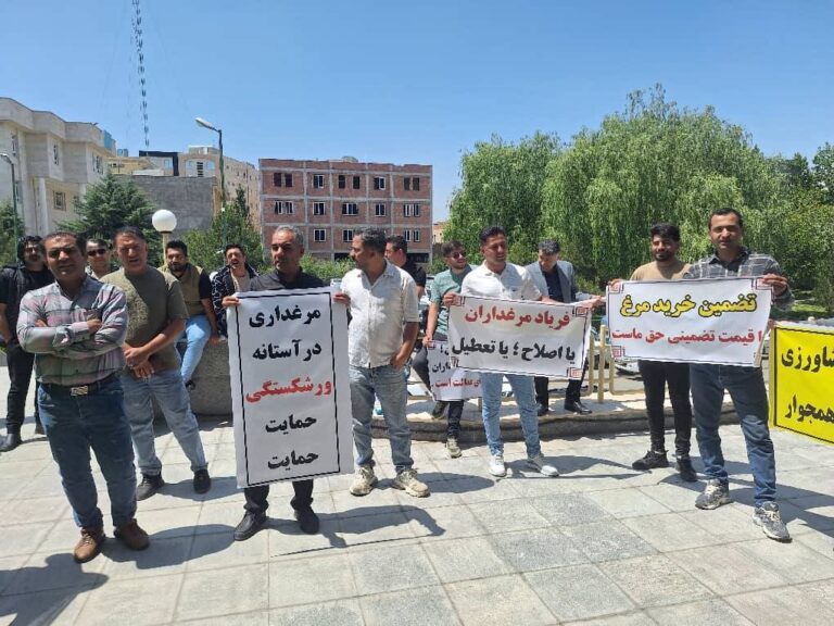اعتراض و تجمع مرغداران در مشهد