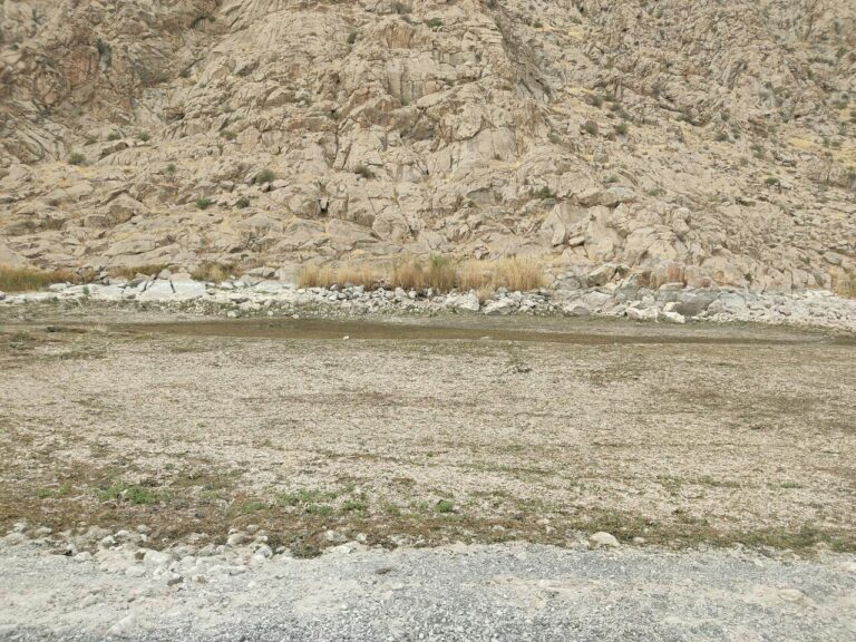 گنجینه‌ای طبیعی تالاب هشیلان کرمانشاه در آستانه نابودی